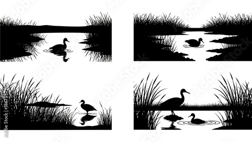 Ducks swimming in a serene wetland environment viewed from a distance