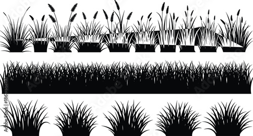 Set of black silhouettes featuring meadow grass and wetland plants with various reed types for nature and landscape graphic designs. (20 words)