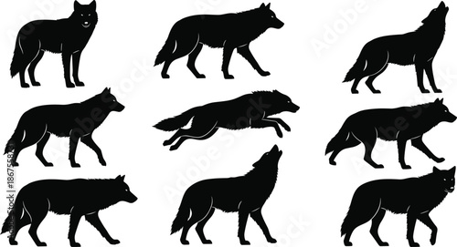 Set of nine black wolf silhouettes featuring various poses like howling, running, and standing for wildlife nature and conservation designs. (20 words)