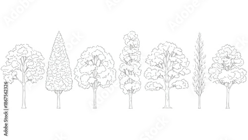 Set of 7 Outline Tree Line Art Vector Illustrations