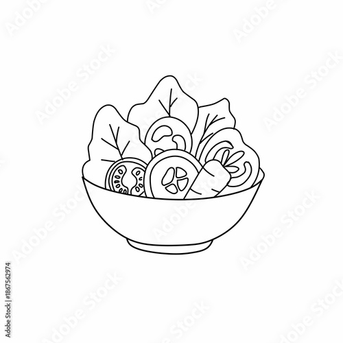 Mixed vegetable salad bowl vector