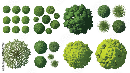 Top View Green Trees and Shrubs Vector Set for Landscape Design