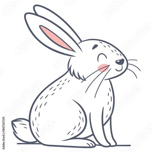 Cute rabbit illustration