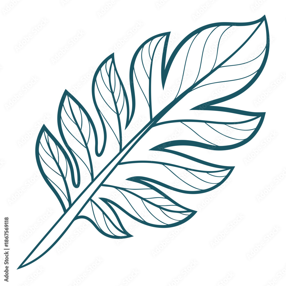 Fototapeta premium Illustrative feather design