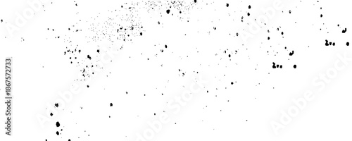 Distressed texture background with black and white colors. Abstract dust texture. Vector design. 