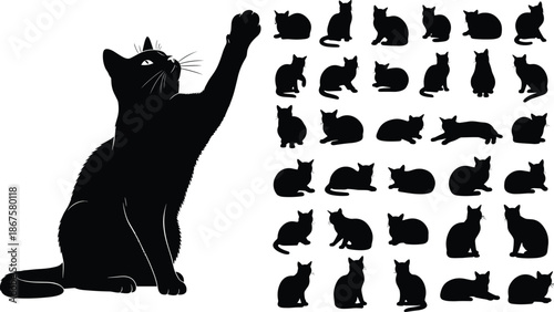 Cat silhouette collection, feline poses, sitting cat, grooming, stretching, black vector art, animal behavior, pet icon set, flavector