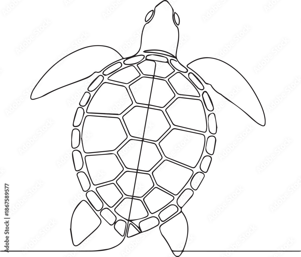 Obraz premium Turtle swimming in water with geometric pattern shell