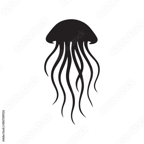 Vector illustration of jellyfish and mushroom isolated on white background