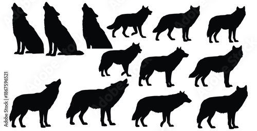 Collection of twelve distinct black wolf silhouettes depicting various postures including standing walking and howling in a white background compilation