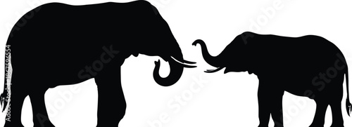 Silhouette of an adult elephant and a baby elephant facing each other