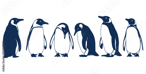 Collection of stylized emperor penguin silhouettes standing together displaying various natural postures against a clean white background illustration design
