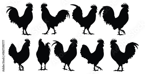 Collection of ten detailed black rooster silhouettes showcasing various proud stances and tail feather illustrations against a clean white background ideal for farm themes