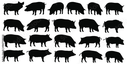 Collection of detailed black silhouette illustrations depicting various domestic pigs and wild boars in different poses and common actions against a clean white background