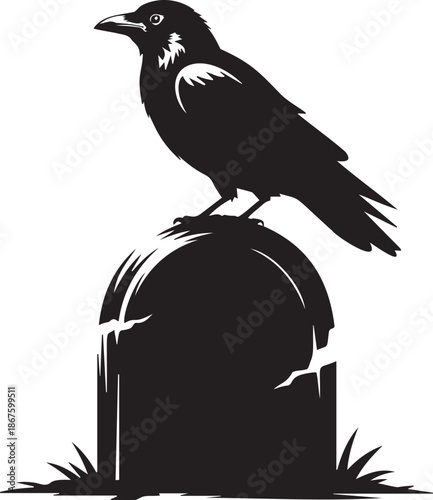 Black silhouette of large raven bird perched on broken ancient tombstone in graveyard