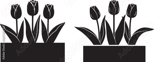 Tulips in a flower box illustration