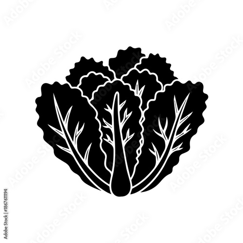 Black and white vegetables isolated on transparent background, Vector