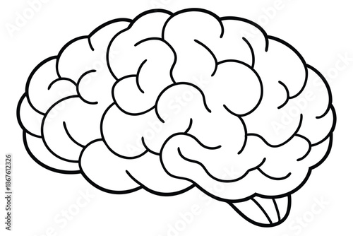 Dual Brain Concept Illustration, Left and Right Hemisphere Functions, Logic vs Creativity Black and White Vector Art