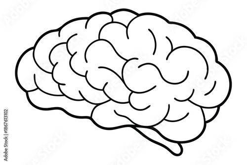 Mirrored Symmetrical Brain Lobes Illustration, Balance and Harmony Concept in Black and White Graphic Design