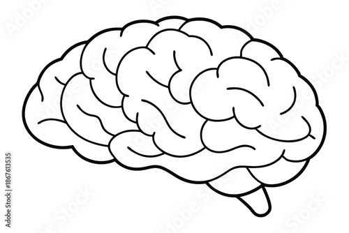 Minimalist human brain vector illustration for medical and educational use, black and white line art.