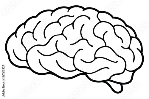 Artistic brain line drawing symbolizing knowledge and educational growth, black and white vector.