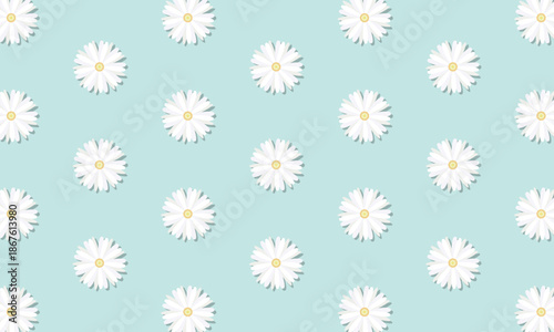 花びらの並びにムラがある白いマーガレットに影が付いた水色の壁紙