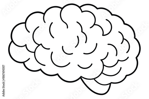 Professional brain graphic for neurology clinics and medical professional use, vector illustration.