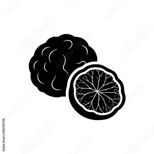 Black and white lemon slices isolated on transparent background, Vector