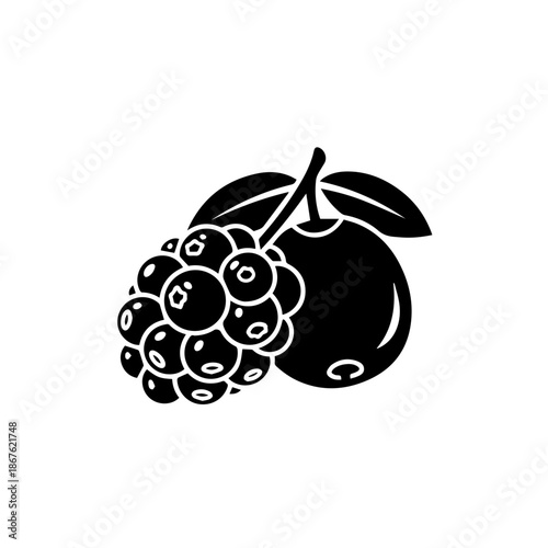 Skull with leaves and grapes isolated on transparent background, Vector