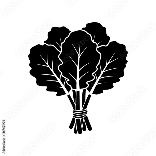 Illustrated bunch of broccoli isolated on transparent background, Vector