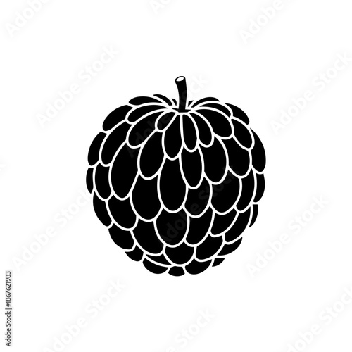 Black and white raspberry illustration isolated on transparent background, Vector