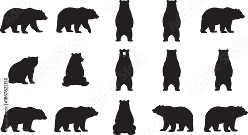 Set of black bear silhouettes for wildlife design, grizzly and brown bear icons in various poses like walking, standing and sitting for nature camping graphics.