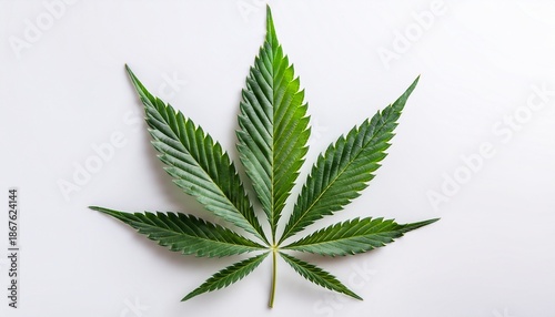 Marijuana Leaf On White Background