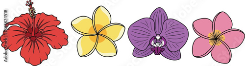 A colorful arrangement of tropical flowers including hibiscus orchid and plumeria