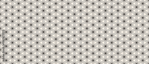 Classic oriental geometric seamless pattern with floral grid, thin lines, hexagons, triangles, flowers, lattice. Abstract minimal linear black and white background. Elegant modern repeatable design
