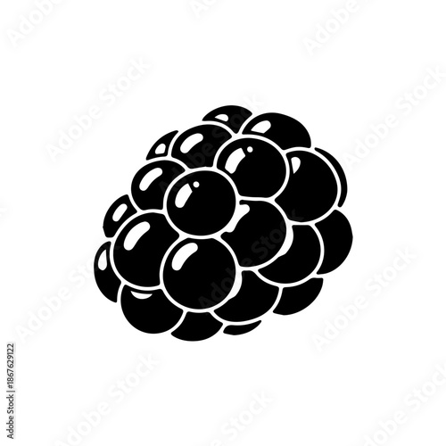 Cluster of blackberries isolated on transparent background, Vector