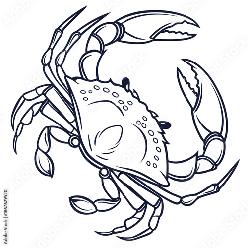 Minimal outline realistic blue crab vector illustration with clean thin strokes and accurate anatomy. Designed for modern logos, icons, packaging, tattoos, and editorial layouts. Simple, elegant.