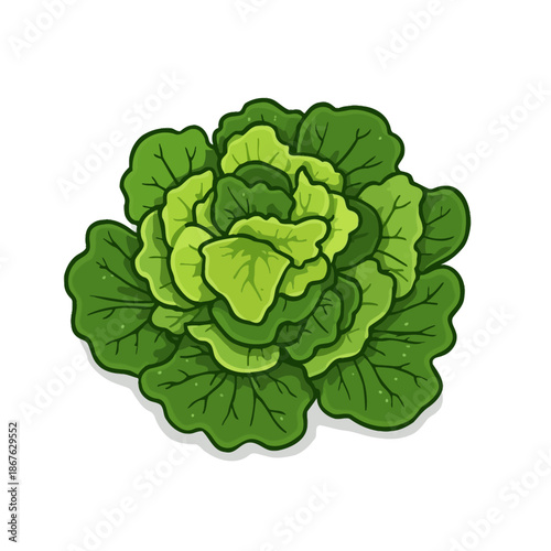 Delicious Salad Design Very Cool