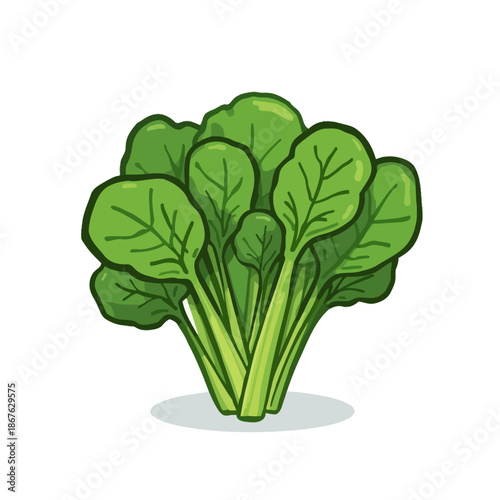 Delicious Salad Design Very Cool