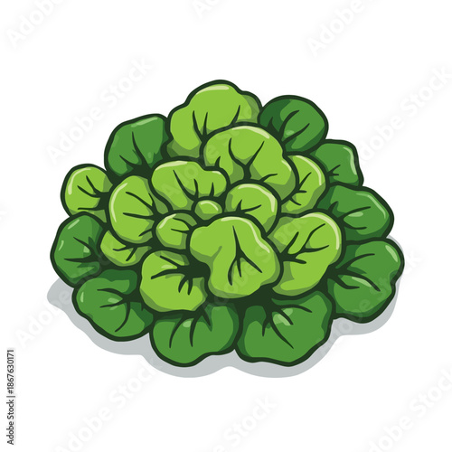 Delicious Salad Design Very Cool