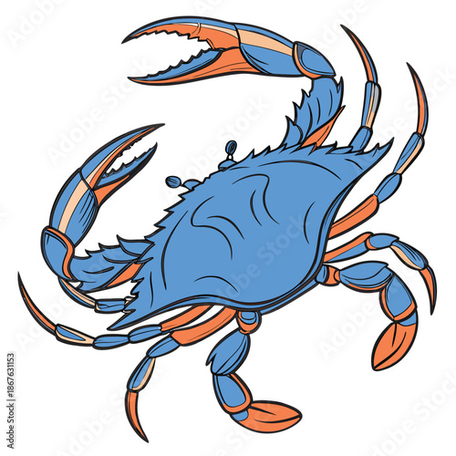 This high-quality, realistic blue crab vector illustration captures the vibrant colors and intricate details of the iconic Callinectes sapidus. Featuring the signature bright blue claws and mottled.