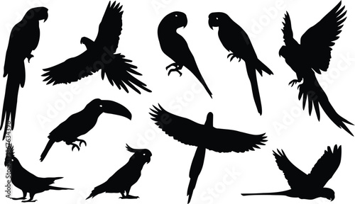 parrot, bird, silhouette, vector, macaw, cockatoo, toucan, tropical, wildlife, nature, animal, flying, perching, exotic, species, pose, illustration, graphic, design, art, clipart, black, white, isola
