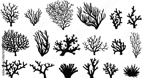 coral, silhouette, sea, ocean, underwater, plant, vector, illustration, marine, nature, isolated, transparent, background, black, shape, graphic, design, element, reef, oceanic, aquatic, seascape, sea