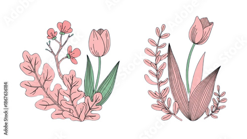 Illustration of pink tulips and floral arrangements in a minimalist style