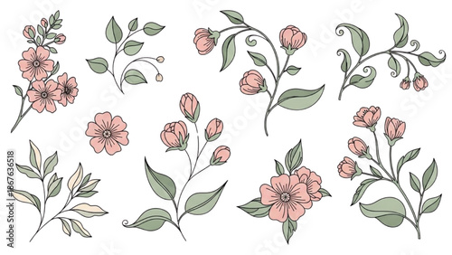Illustrations of floral arrangements with pink flowers and green leaves on a white background from a direct viewpoint