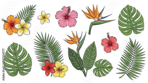 Tropical flowers and leaves arranged in a decorative illustration on a white background