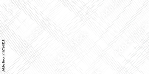 Vector gradient gray line abstract pattern Transparent monochrome striped. Elegant white striped diagonal line technology concept web. Dynamic oblique fabric abstract white and gray geometric creative