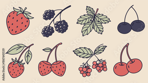 Delicious Summer Berry Assortment Illustration for Healthy Food Packaging Recipe Website Design