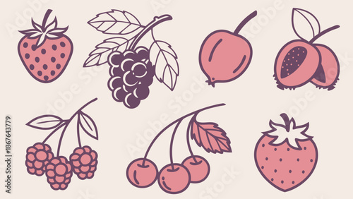 Delicious Summer Berry Fruit Icons Set for Healthy Recipe Design Cafe Menus Seasonal Food Branding