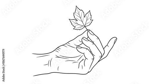 A simple black vector illustration of a hand holding a plant, a flower, and a tree branch in a natural artistic style