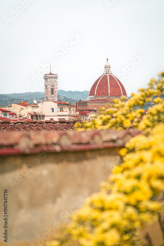 Flowers in a landscape of Florence